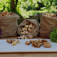 Pistachios with Shell