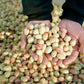 Pistachios with shell 3